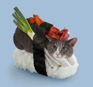 Dude, that's the last time I take you up on a sushi dinner! Image found on IncredibleThings.